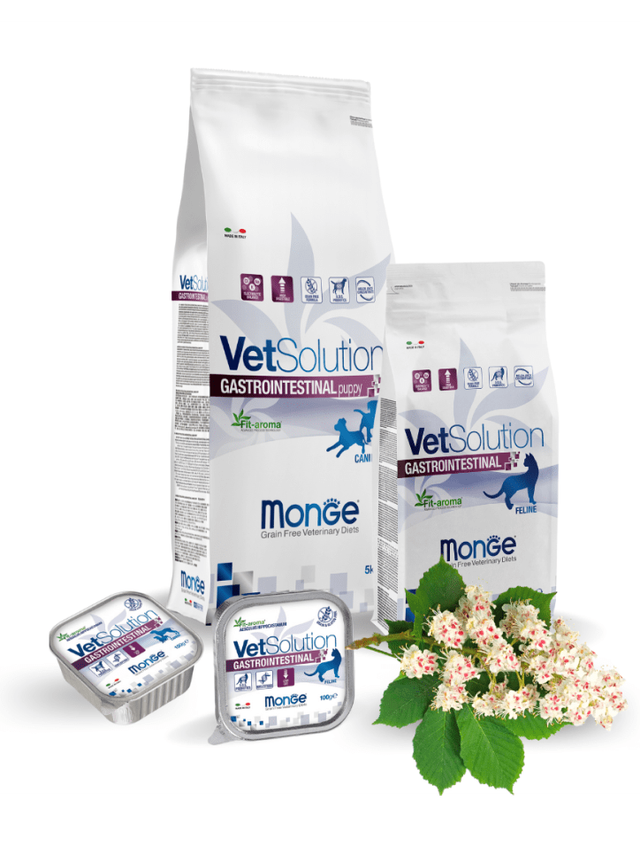 Monge VetSolution - для тех, кто нуждается в особом питании и внимании!