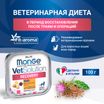 Диетический корм Monge VetSolution Cat Recovery Рекавери для кошек при восстановлении питания в период выздоровления 100 г