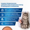 Диетический корм Monge VetSolution Cat Recovery Рекавери для кошек при восстановлении питания в период выздоровления 100 г — фото 7