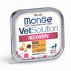 Диетический корм Monge VetSolution Cat Recovery Рекавери для кошек при восстановлении питания в период выздоровления 100 г — фото 3