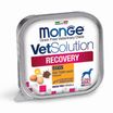 Диетический корм Monge VetSolution Dog Recovery Рекавери для собак при восстановлении питания в период выздоровления 150 г — фото 2