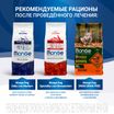 Диетический корм Monge VetSolution Dog Gastrointestinal Гастроинтестинал для собак при заболеваниях ЖКТ 2 кг — фото 10