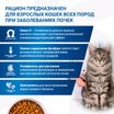 Диетический корм Monge VetSolution Cat Renal Ренал для кошек при ХПН 1,5 кг — фото 7