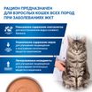 Диетический корм Monge VetSolution Cat Gastrointestinal гастро интестинал для кошек при заболеваниях ЖКТ 100 г — фото 8