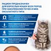 Диетический корм Monge VetSolution Cat Renal and Oxalate Ренал и Оксалат для кошек при ХПН и профилактике образования оксалатов 100 г — фото 7