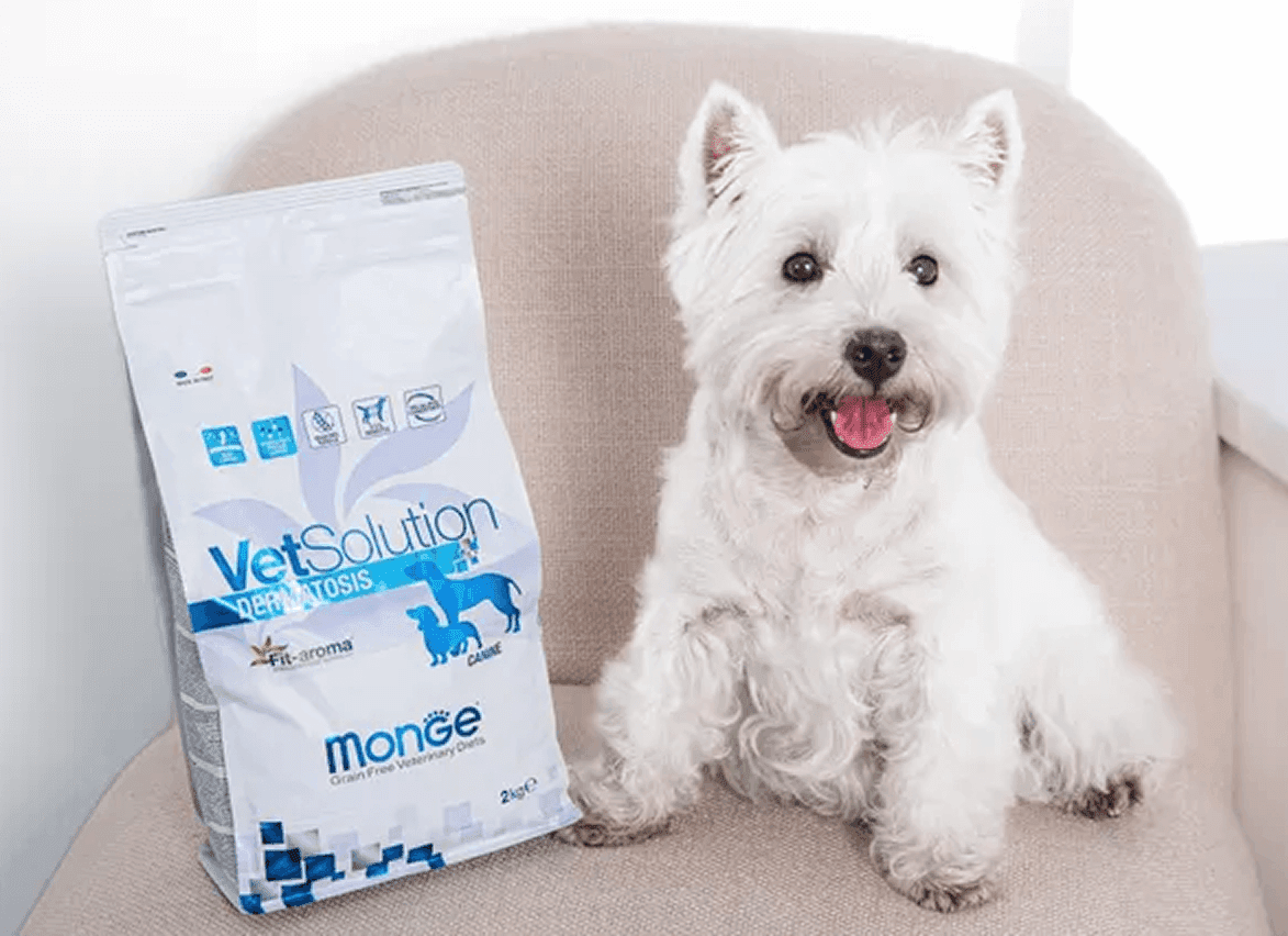 Вест-хайленд-уайт-терьер рядом с упаковкой Monge VetSolution Dermatosis