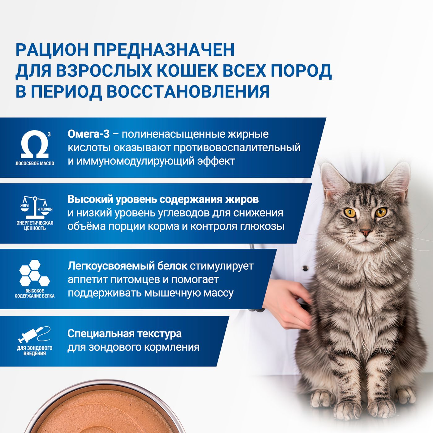 Диетический корм Monge VetSolution Cat Recovery Рекавери для кошек при восстановлении питания в период выздоровления 100 г — фото 7