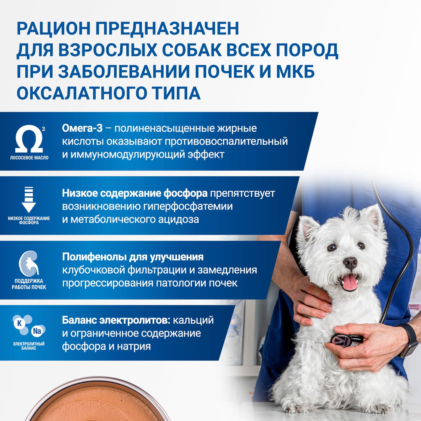 Диетический корм Monge VetSolution Dog Renal and Oxalate Ренал и Оксалат для собак при ХПН и профилактике образования уролитов оксалата кальция 150г — фото 8
