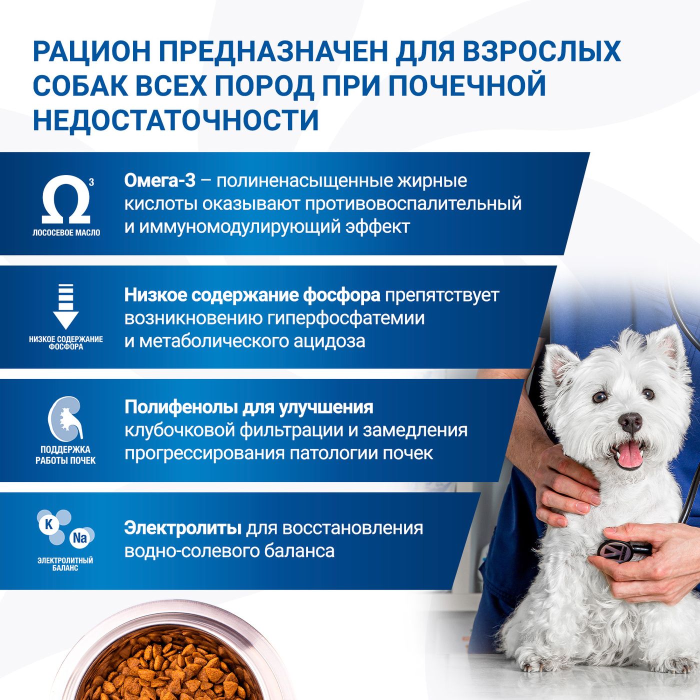 Диетический корм Monge VetSolution Dog Renal and Oxalate Ренал и Оксалат для собак при ХПН 2 кг — фото 6