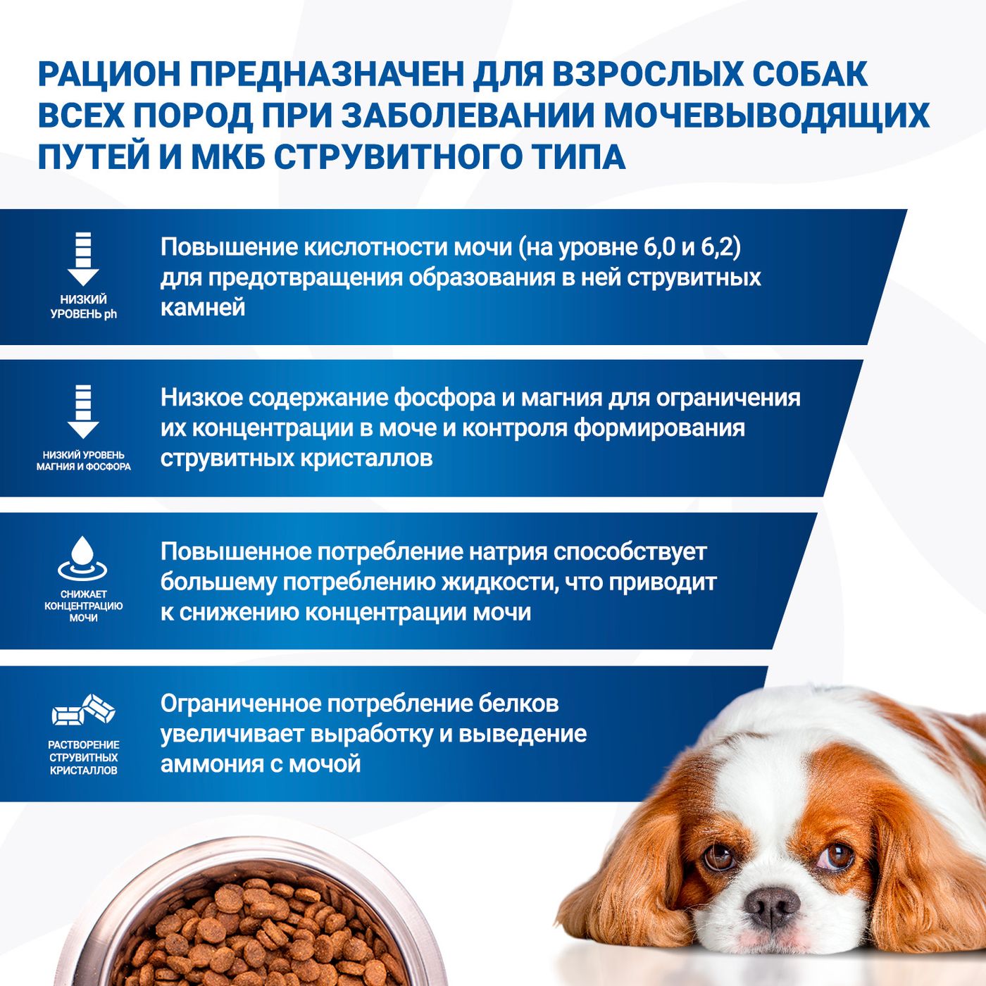 Диетический корм Monge VetSolution Dog Urinary Struvite Уринари Струвит для собак при заболеваниях мочеполовой системы и струвитном течении МКБ 12 кг — фото 5