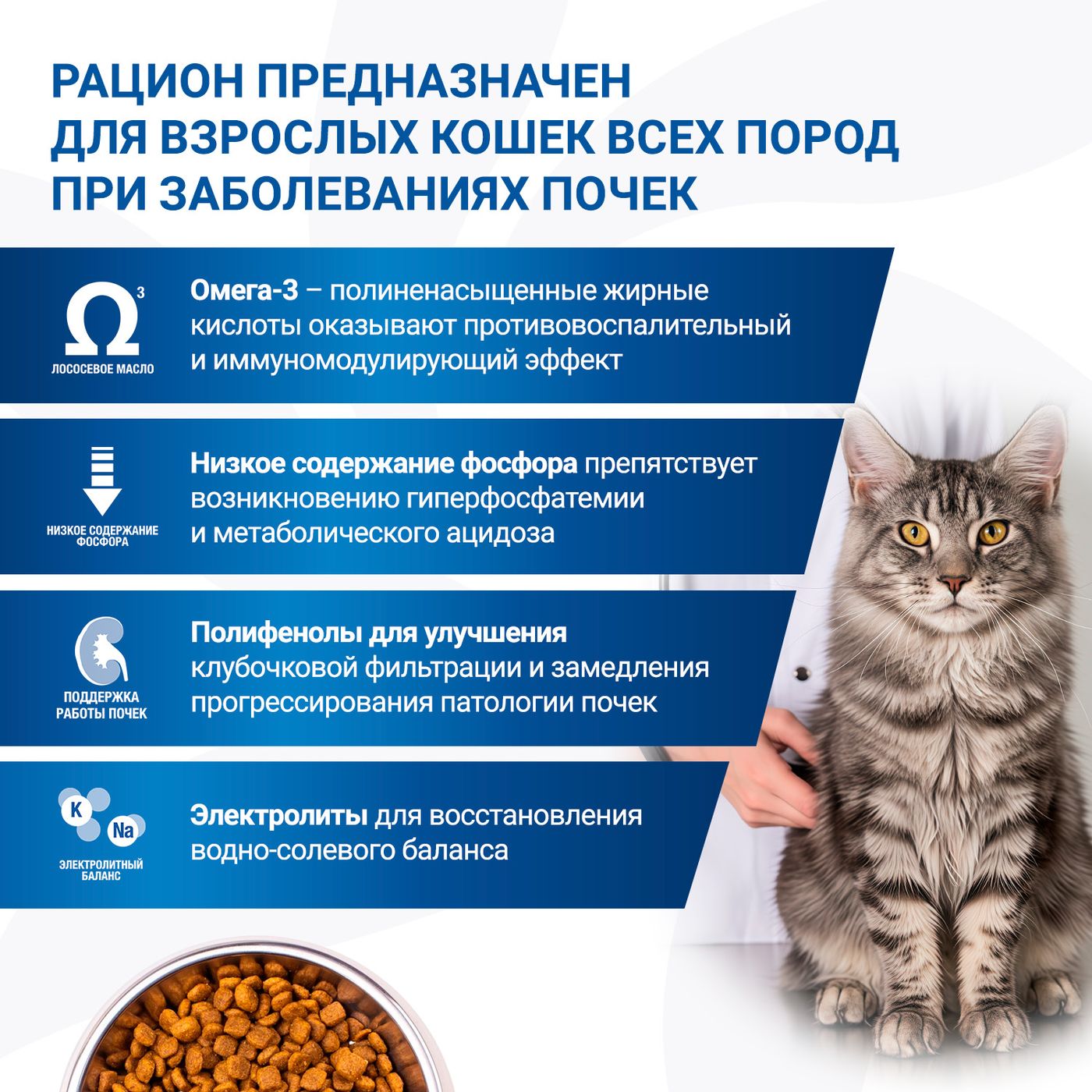 Диетический корм Monge VetSolution Cat Renal Ренал для кошек при ХПН 1,5 кг — фото 7