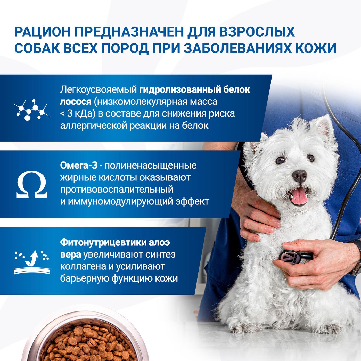 Диетический корм Monge VetSolution Dog Dermatosis Дерматозис для собак при заболеваниях кожи 2 кг — фото 6