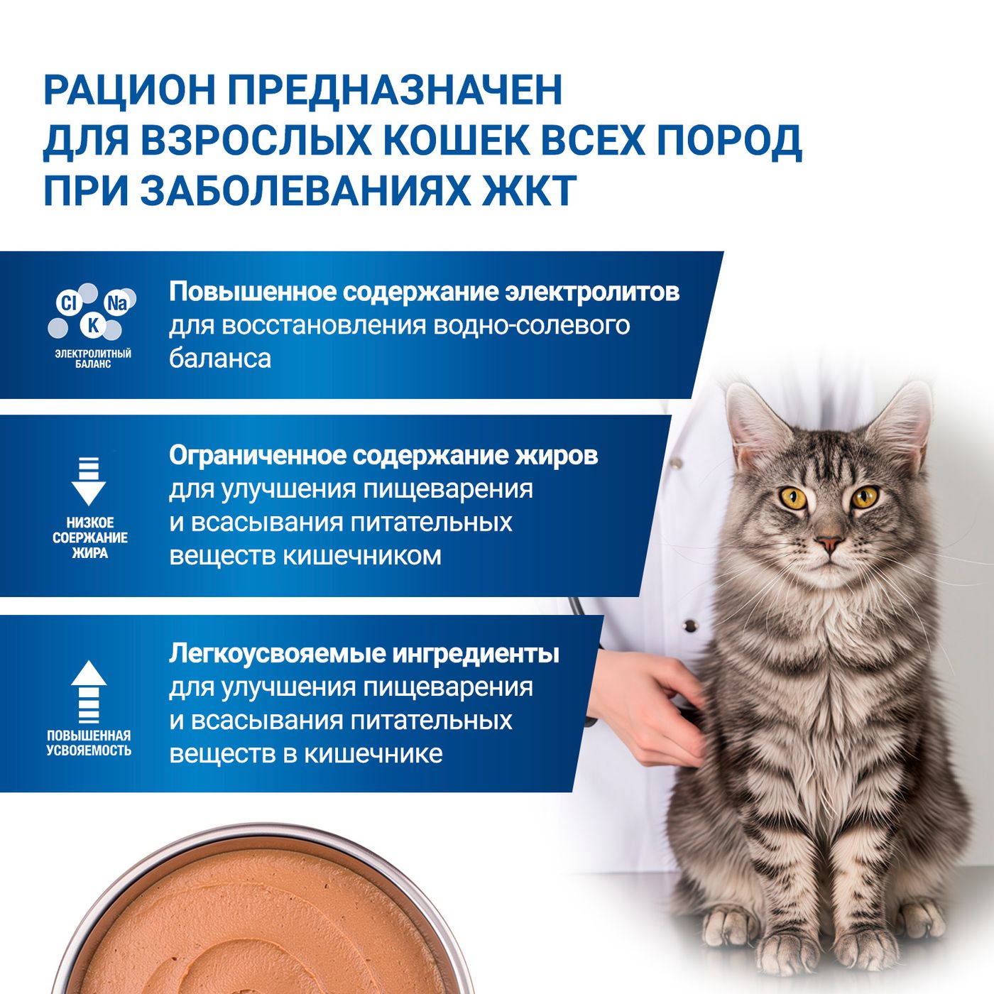 Диетический корм Monge VetSolution Cat Gastrointestinal гастро интестинал для кошек при заболеваниях ЖКТ 100 г — фото 8