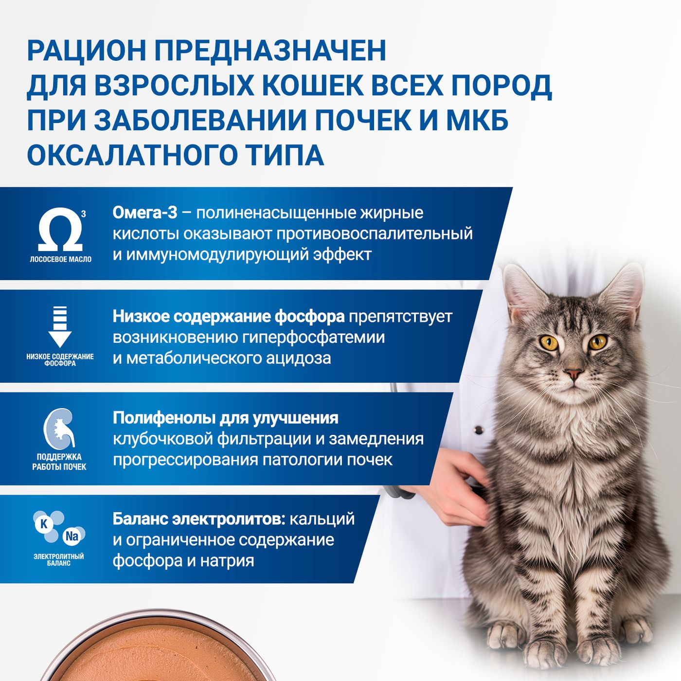 Диетический корм Monge VetSolution Cat Renal and Oxalate Ренал и Оксалат для кошек при ХПН и профилактике образования оксалатов 100 г — фото 7